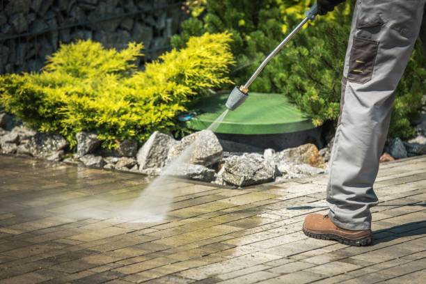Best Roof Cleaning and Mildew Removal in Mulberry, AR